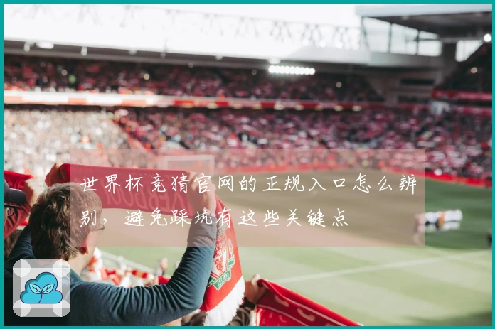 世界杯竞猜官网的正规入口怎么辨别，避免踩坑有这些关键点