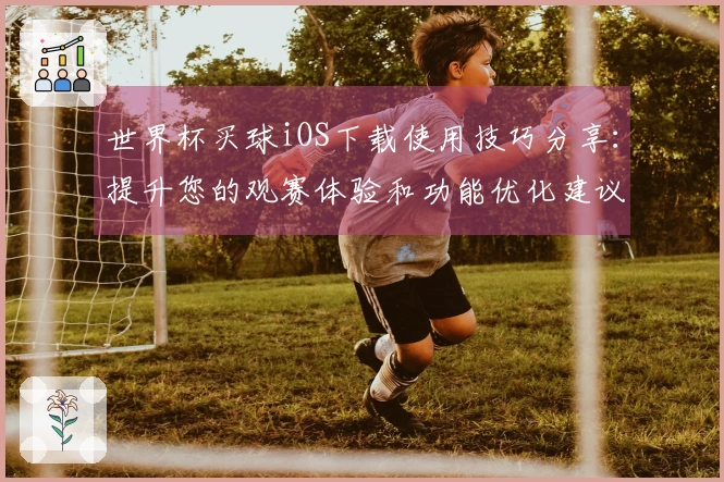 世界杯买球iOS下载使用技巧分享:提升您的观赛体验和功能优化建议