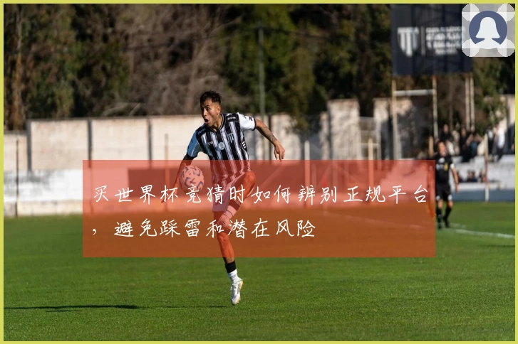 买世界杯竞猜时如何辨别正规平台，避免踩雷和潜在风险