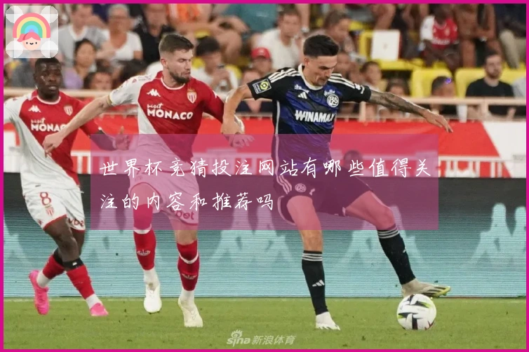 世界杯竞猜投注网站有哪些值得关注的内容和推荐吗