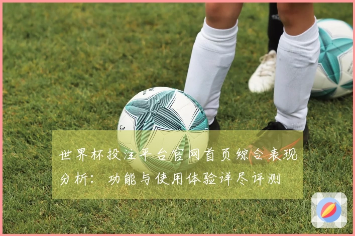 世界杯投注平台官网首页综合表现分析：功能与使用体验详尽评测