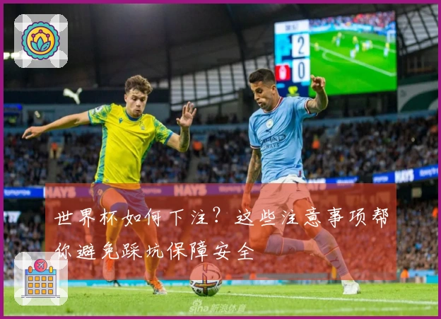 世界杯如何下注？这些注意事项帮你避免踩坑保障安全