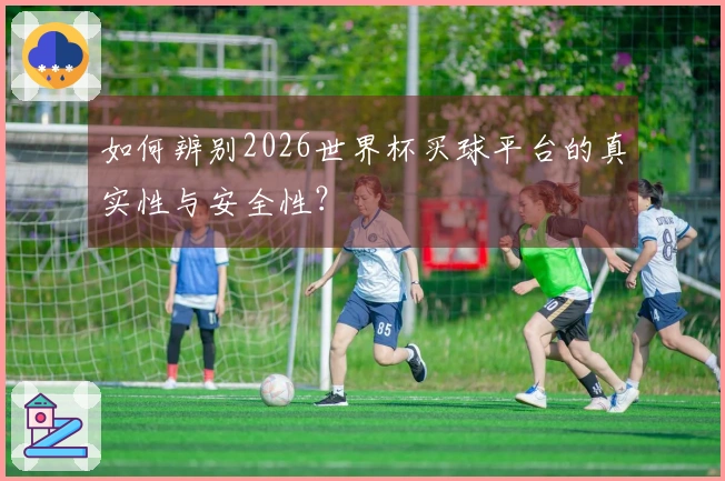 如何辨别2026世界杯买球平台的真实性与安全性？