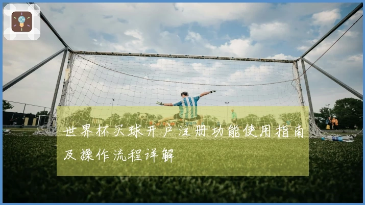 世界杯买球开户注册功能使用指南及操作流程详解