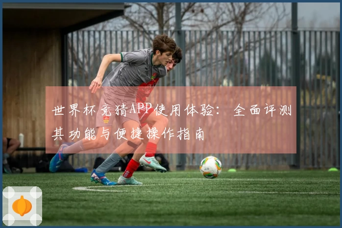 世界杯竞猜APP使用体验：全面评测其功能与便捷操作指南