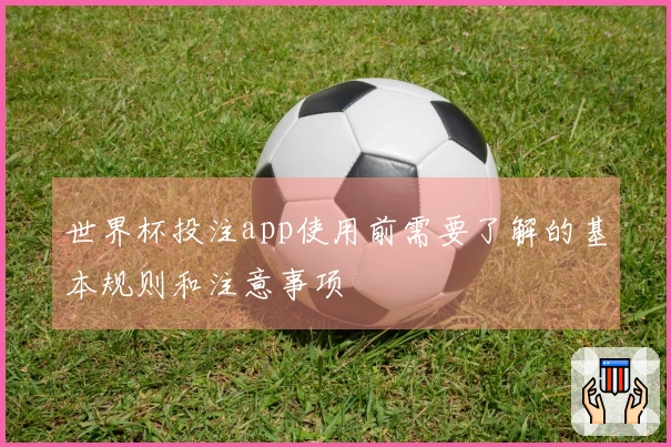世界杯投注app使用前需要了解的基本规则和注意事项