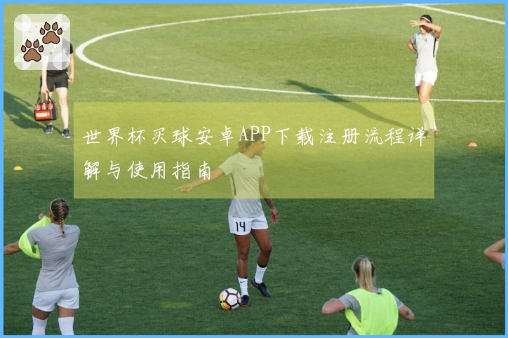 世界杯买球安卓APP下载注册流程详解与使用指南