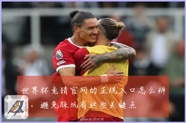 世界杯竞猜官网的正规入口怎么辨别，避免踩坑有这些关键点