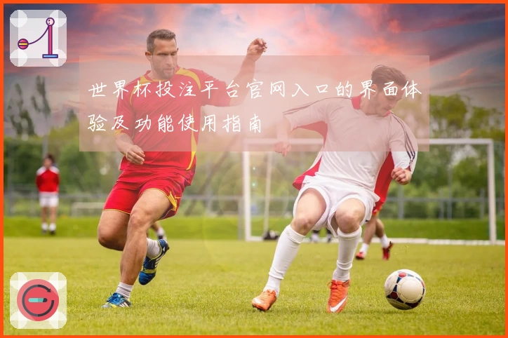 世界杯投注平台官网入口的界面体验及功能使用指南