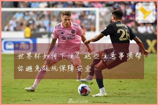 世界杯如何下注？这些注意事项帮你避免踩坑保障安全