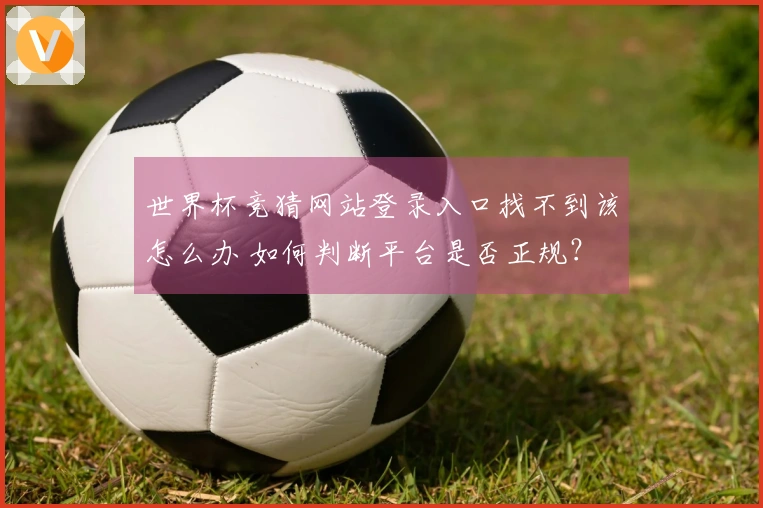 世界杯竞猜网站登录入口找不到该怎么办 如何判断平台是否正规？