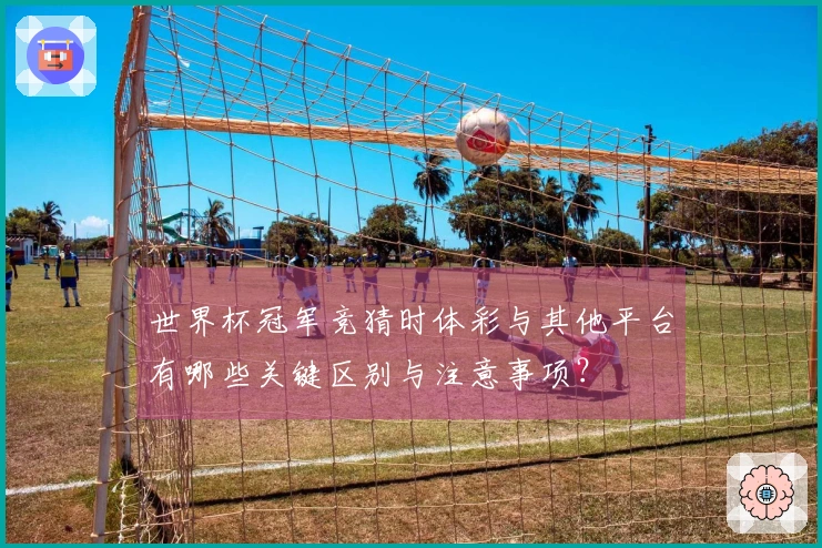 世界杯冠军竞猜时体彩与其他平台有哪些关键区别与注意事项？