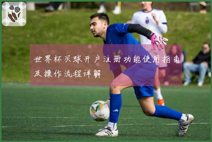 世界杯买球开户注册功能使用指南及操作流程详解