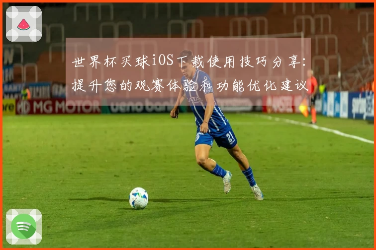 世界杯买球iOS下载使用技巧分享：提升您的观赛体验和功能优化建议