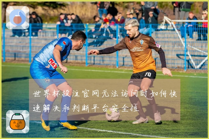 世界杯投注官网无法访问时如何快速解决和判断平台安全性