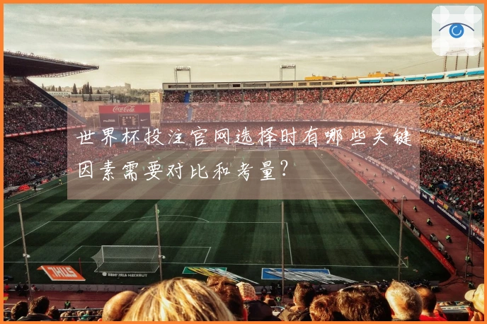 世界杯投注官网选择时有哪些关键因素需要对比和考量？