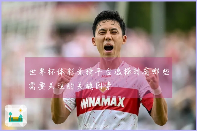 世界杯体彩竞猜平台选择时有哪些需要关注的关键因素