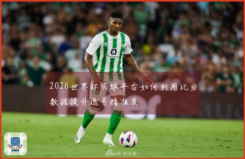 2026世界杯买球平台如何利用比分数据提升选号精准度