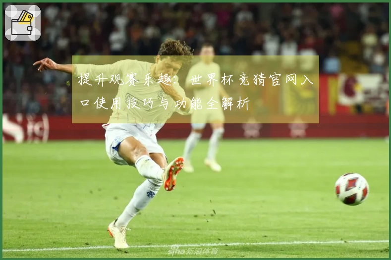 提升观赛乐趣：世界杯竞猜官网入口使用技巧与功能全解析