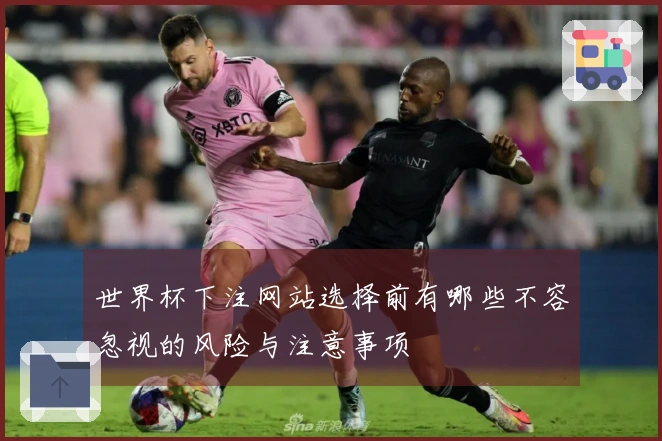 世界杯下注网站选择前有哪些不容忽视的风险与注意事项