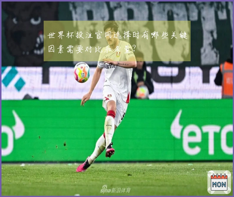 世界杯投注官网选择时有哪些关键因素需要对比和考量？