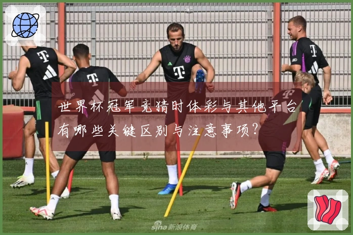 世界杯冠军竞猜时体彩与其他平台有哪些关键区别与注意事项？