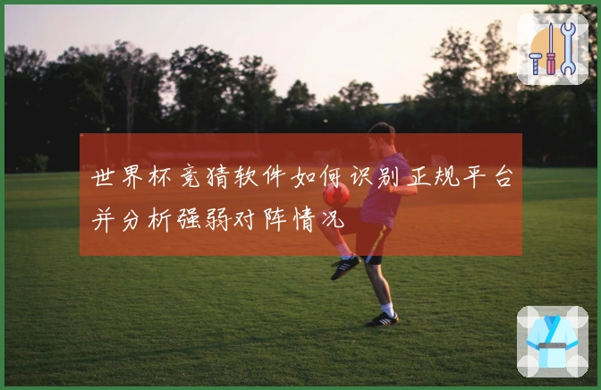世界杯竞猜软件如何识别正规平台并分析强弱对阵情况