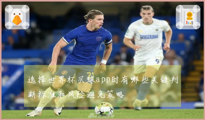 选择世界杯买球app时有哪些关键判断标准和风险避免策略